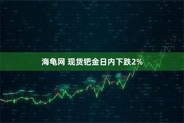 海龟网 现货钯金日内下跌2%