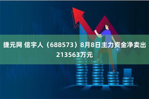 捷元网 信宇人(688573)8月8日主力资金净卖出213563万元