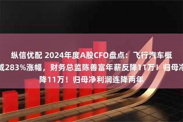 纵信优配 2024年度A股CFO盘点:飞行汽车概念炒出万丰奥威283%涨幅,财务总监陈善富年薪反降11万!归母净利润连降两年